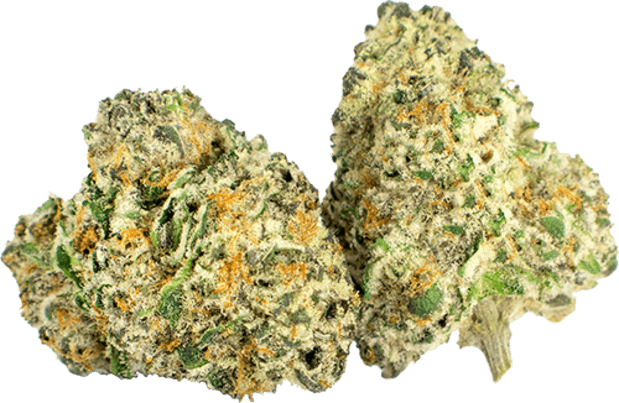 Grape Bubblegum image 1